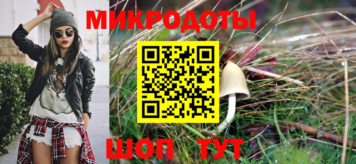 Донецк  Псилоцибиновые грибы мицелий  Вход с VPN 